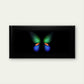 The Glowing Butterfly Wings Wall Art Canvas Office Home Room Framed 120x60cm