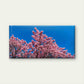 Cherry Blossom Against Blue Sky Wall Art Canvas Office Home Room Framed 120x60cm