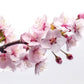 Pink Cherry Blossom Branch Japan Wall Art Canvas Office Home Framed 120x60cm