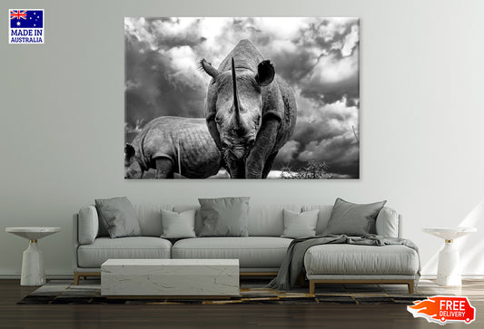 Black Rhinoceros Grazing in The Savanna Print 100% Australian Made Stretched Canvas Ready to Hang - BW-110