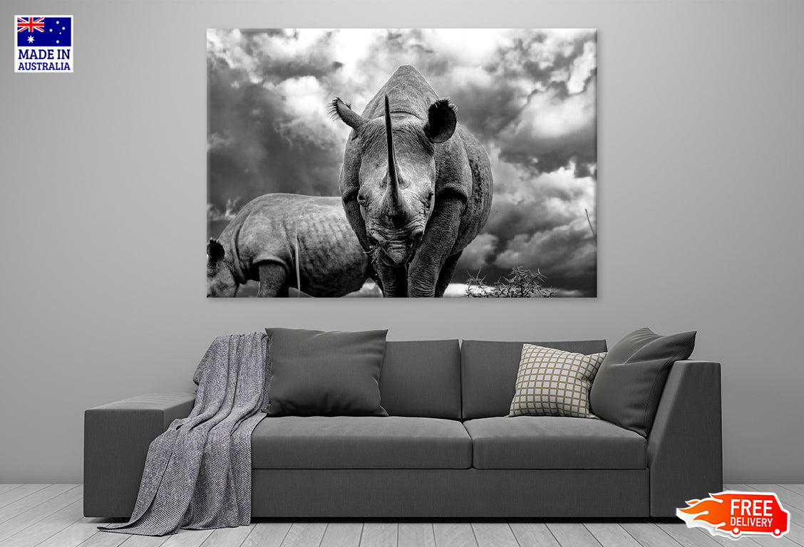 Black Rhinoceros Grazing in The Savanna Print 100% Australian Made Stretched Canvas Ready to Hang - BW-110