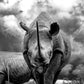 Black Rhinoceros Grazing in The Savanna Print 100% Australian Made Stretched Canvas Ready to Hang - BW-110