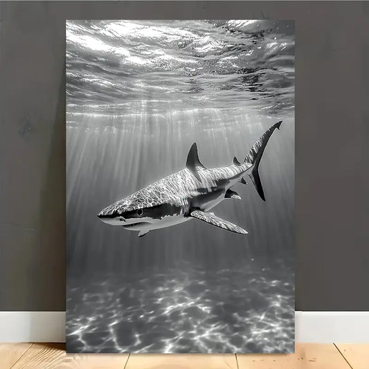 Shark Under Sea Black & White Print 100% Australian Made 40x60cm Stretched Canvas Ready to Hang