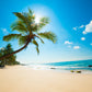 Untouched tropical beach in Sri Lanka Print 100% Australian Made Stretched Canvas Ready to Hang - BC-111