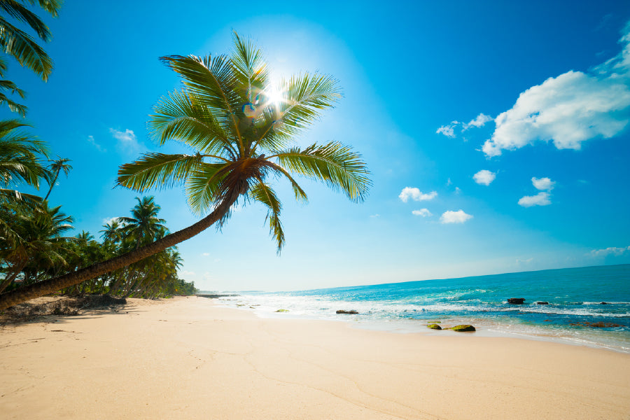 Untouched tropical beach in Sri Lanka Print 100% Australian Made Stretched Canvas Ready to Hang - BC-111