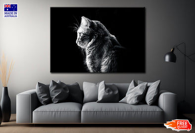 Cat Side Look Isolated in Black Print 100% Australian Made Stretched Canvas Ready to Hang - BW-111