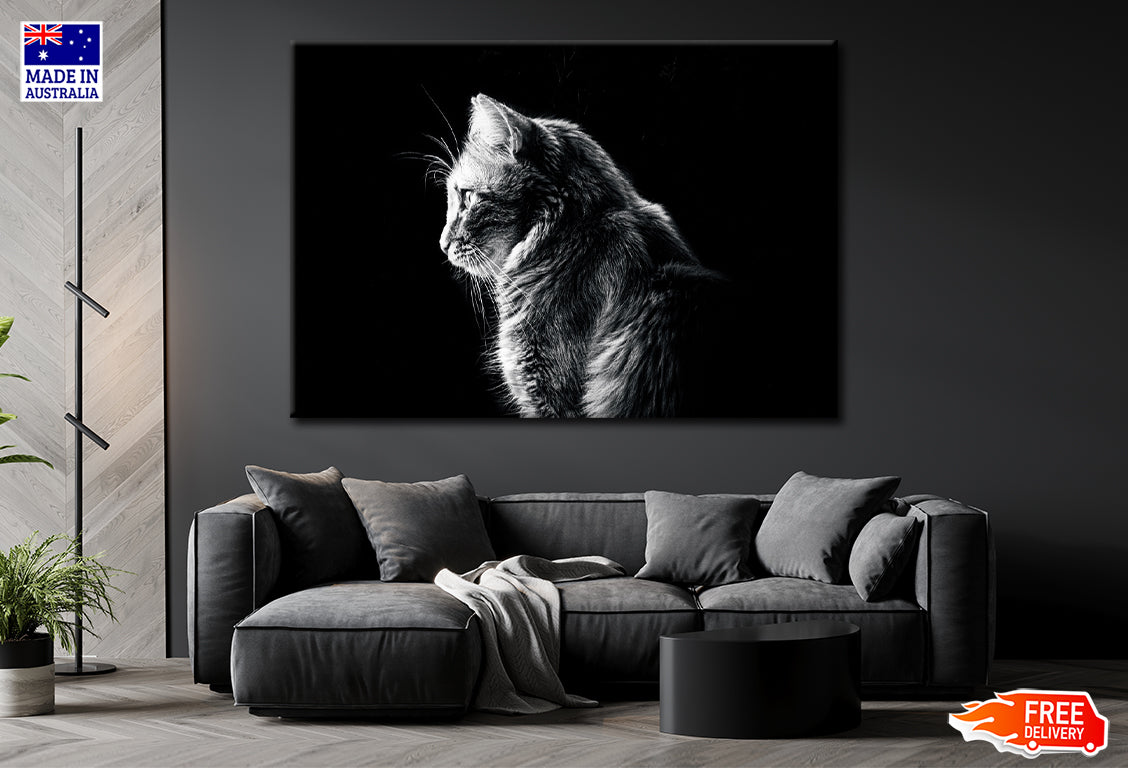 Cat Side Look Isolated in Black Print 100% Australian Made Stretched Canvas Ready to Hang - BW-111