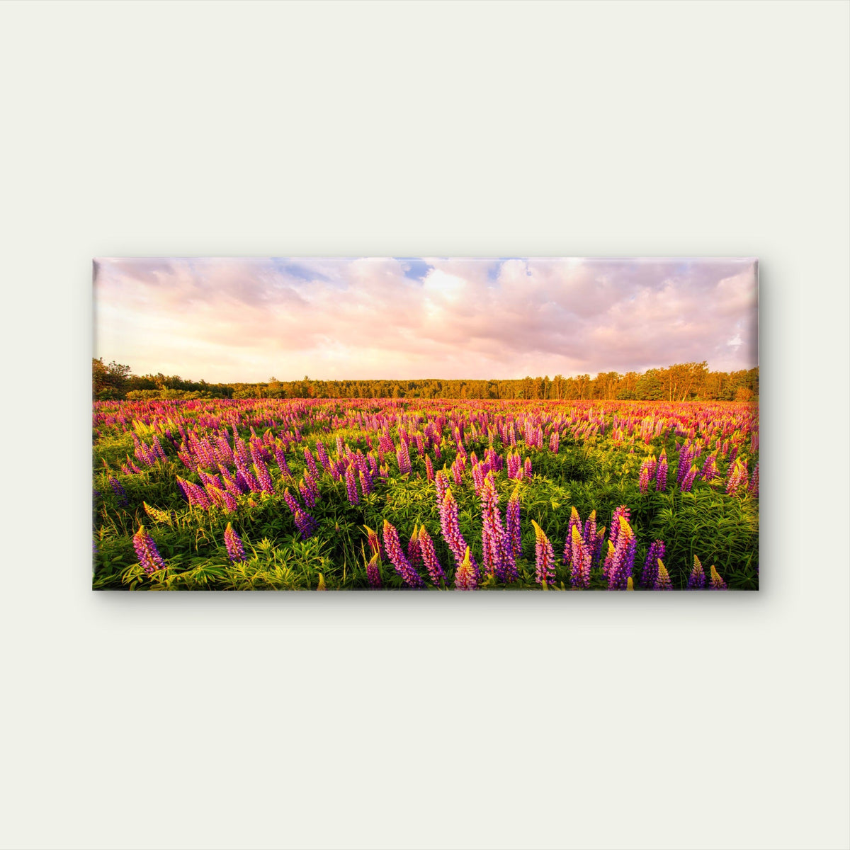 Iceland Lupine Field Sunset Wall Art Canvas Office Home Room Framed 80x45cm
