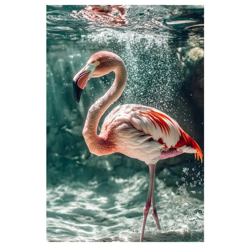 Flamingo Bird Under Water Print 100% Australian Made 40x60cm Stretched Canvas Ready to Hang