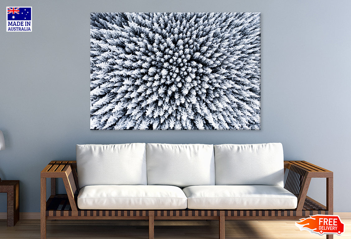 Frozen Trees Captured by a Drone Print 100% Australian Made Stretched Canvas Ready to Hang - BW-112