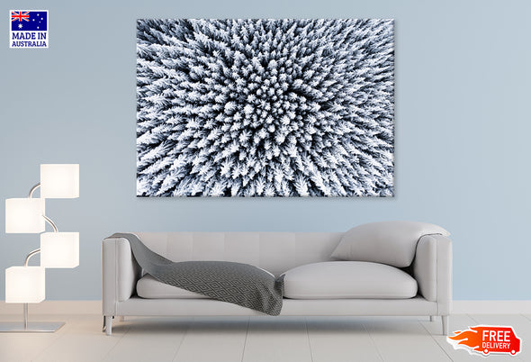 Frozen Trees Captured by a Drone Print 100% Australian Made Stretched Canvas Ready to Hang - BW-112