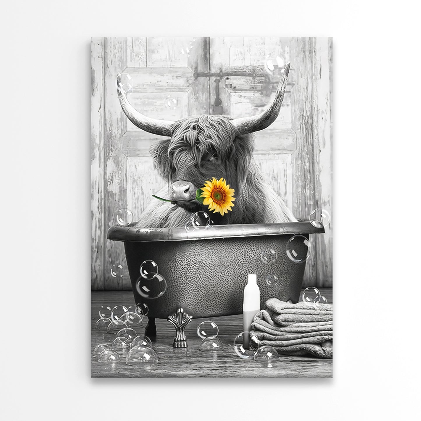 Cow Sitting in Bathtub with Soap Bubbles Print 100% Australian Made 40x60cm Stretched Canvas Ready to Hang