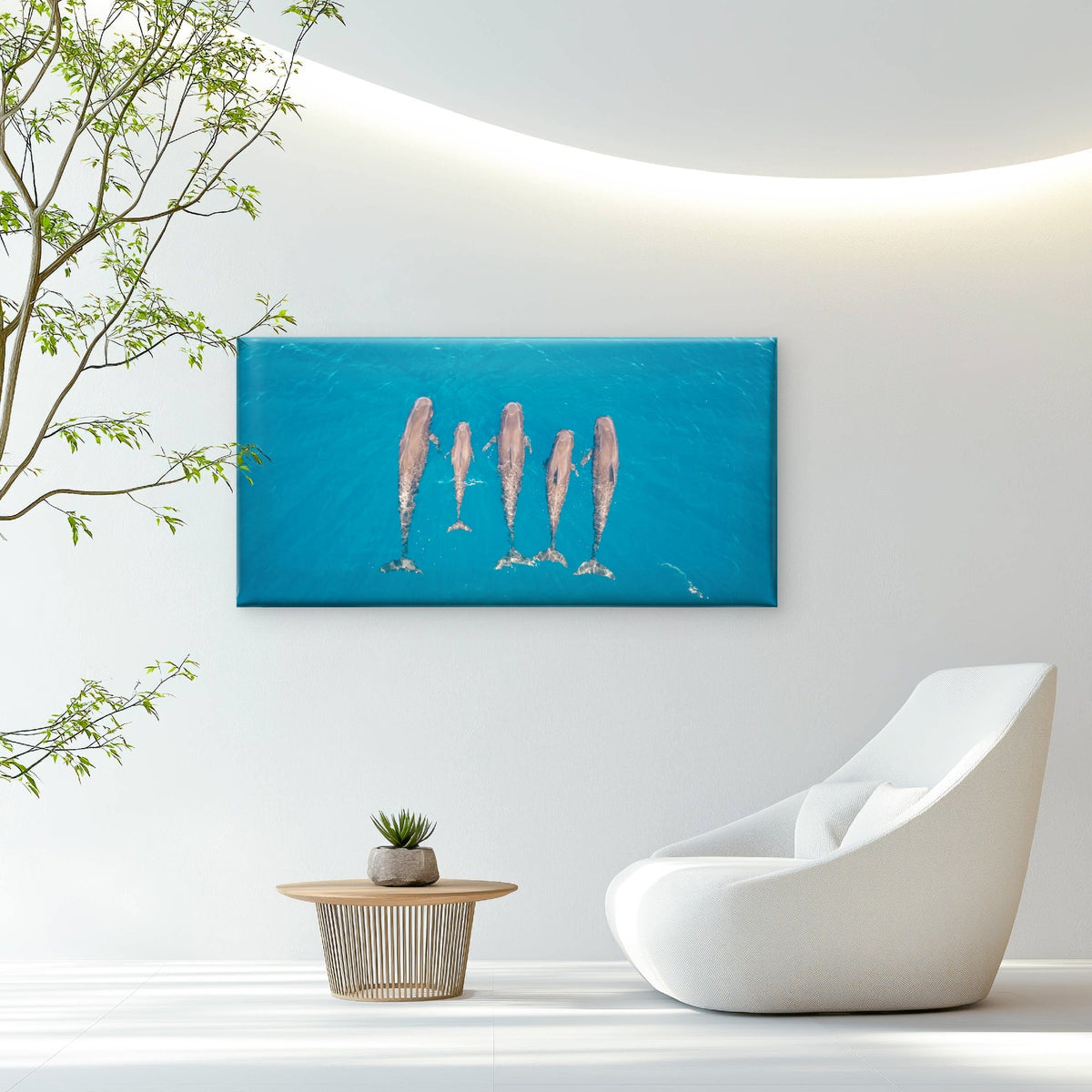 Aerial Dolphin Pod Australia Wall Art Canvas Office Home Room Framed 80x45cm