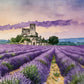 Stunning Lavender Field in Full Bloom Print 100% Australian Made 60x40cm Stretched Canvas Ready to Hang