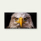 American Bald Eagle Head Close Up Majestic Bird Wall Art Canvas Office Home Room Framed 120x60cm