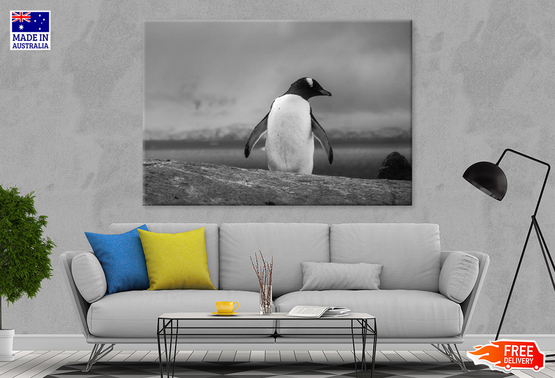 Penguin Walking B&W Photograph Print 100% Australian Made Stretched Canvas Ready to Hang - BW-113