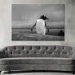 Penguin Walking B&W Photograph Print 100% Australian Made Stretched Canvas Ready to Hang - BW-113