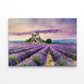 Stunning Lavender Field in Full Bloom Print 100% Australian Made 60x40cm Stretched Canvas Ready to Hang