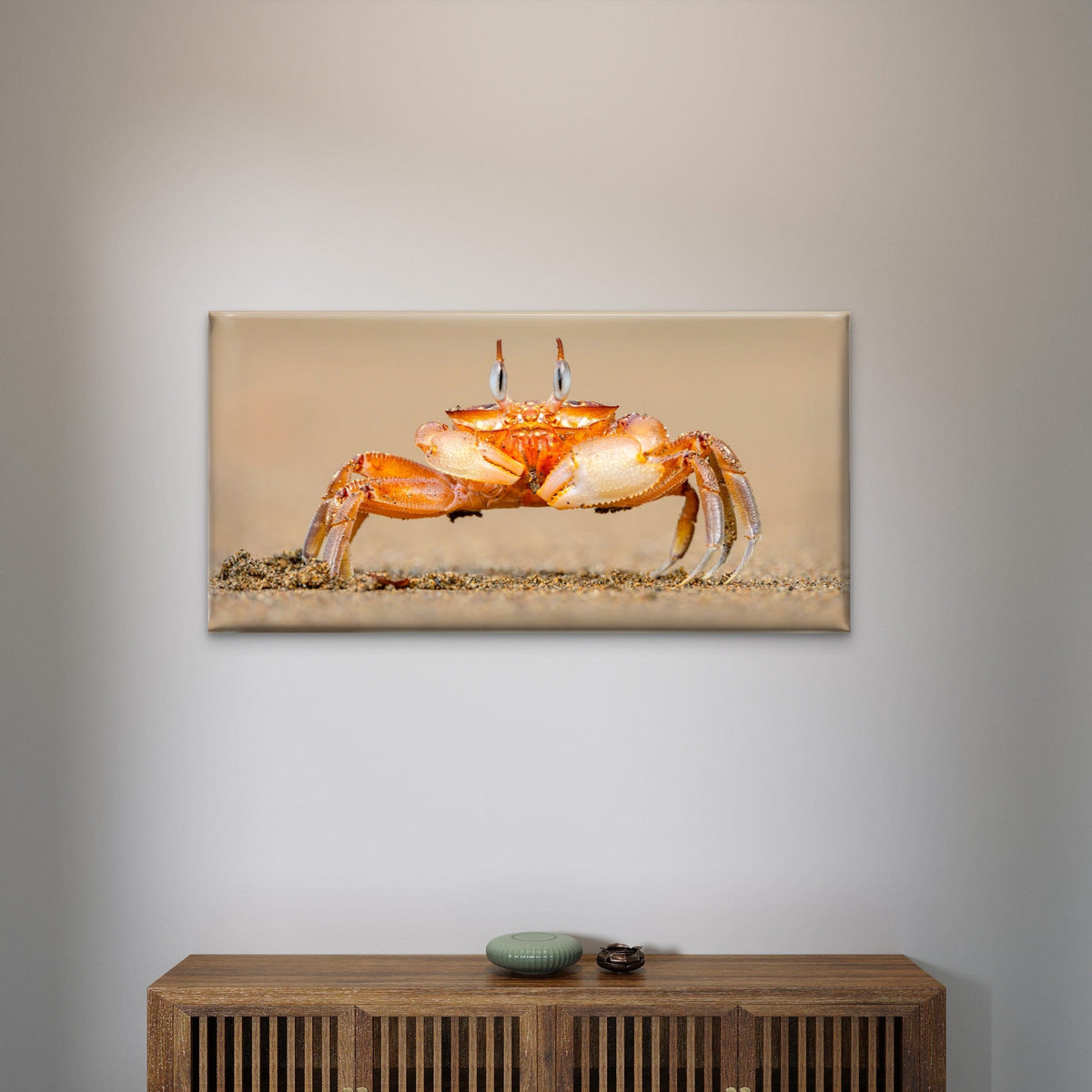 Horned Ghost Crab on a Beach Wall Art Canvas Office Home Room Framed 120x60cm