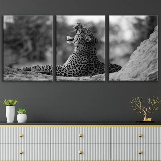 3pcs Black And White Leopard Animal Metal Print Ready to Hang Art