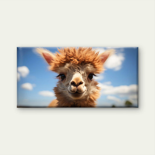 Cute Baby Alpaca Llama Close Up Farm Animal Wall Art Canvas Office Home Room Framed 80x45cm