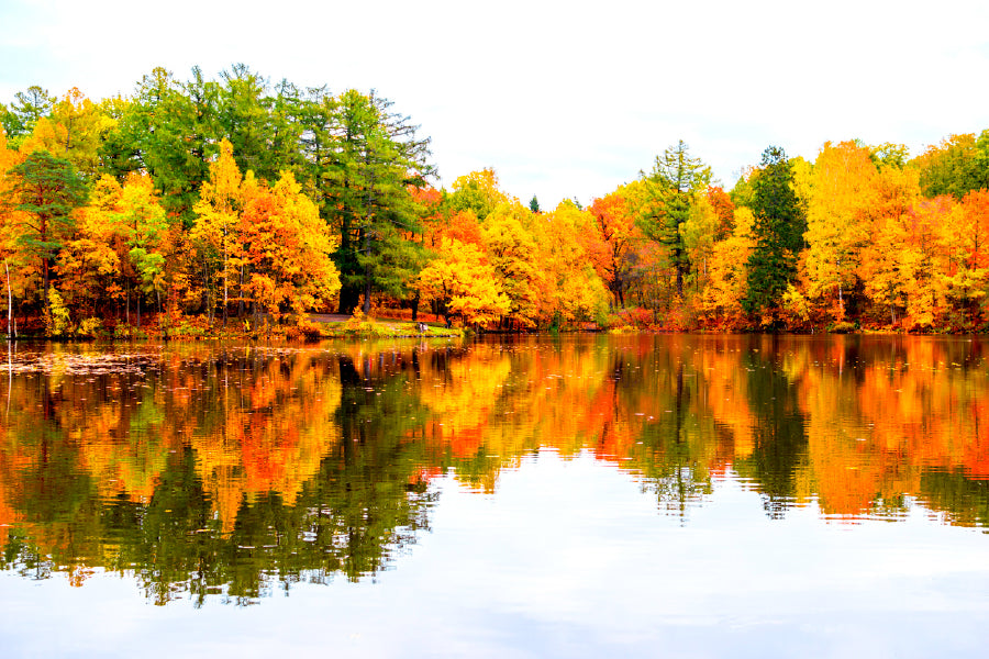 Autumn Trees Reflection on Lake Print 100% Australian Made Stretched Canvas Ready to Hang - NT-115