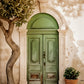 Vintage Green Door and Potted Plant Print 100% Australian Made 40x60cm Stretched Canvas Ready to Hang