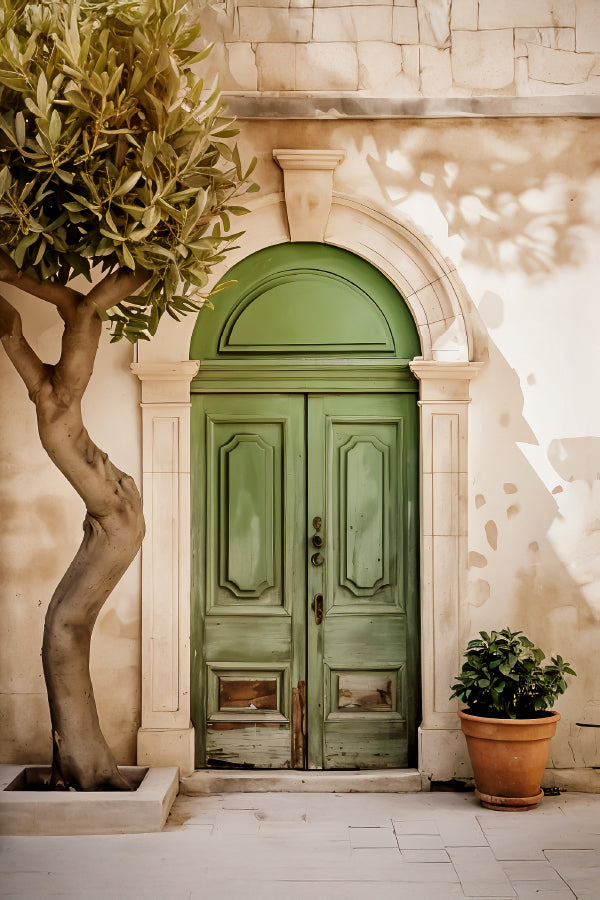 Vintage Green Door and Potted Plant Print 100% Australian Made 40x60cm Stretched Canvas Ready to Hang