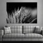 Greyscale Closeup Shot of an Aloe Vera Print 100% Australian Made Stretched Canvas Ready to Hang - BW-115