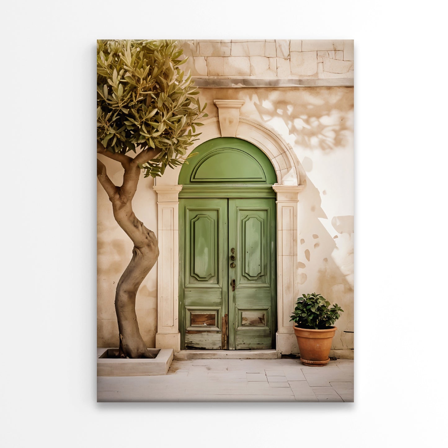 Vintage Green Door and Potted Plant Print 100% Australian Made 40x60cm Stretched Canvas Ready to Hang