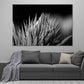 Greyscale Closeup Shot of an Aloe Vera Print 100% Australian Made Stretched Canvas Ready to Hang - BW-115