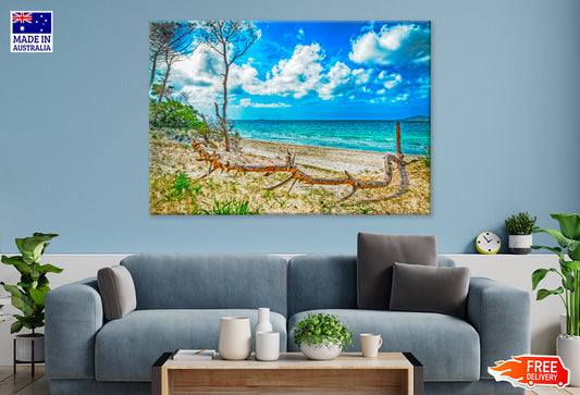 Pine Trunk in Maria Pia Beach Print 100% Australian Made Stretched Canvas Ready to Hang - BC-116