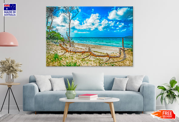 Pine Trunk in Maria Pia Beach Print 100% Australian Made Stretched Canvas Ready to Hang - BC-116