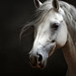 Realistic White Horse Head Wall Art Canvas Office Home Room Framed 120x60cm