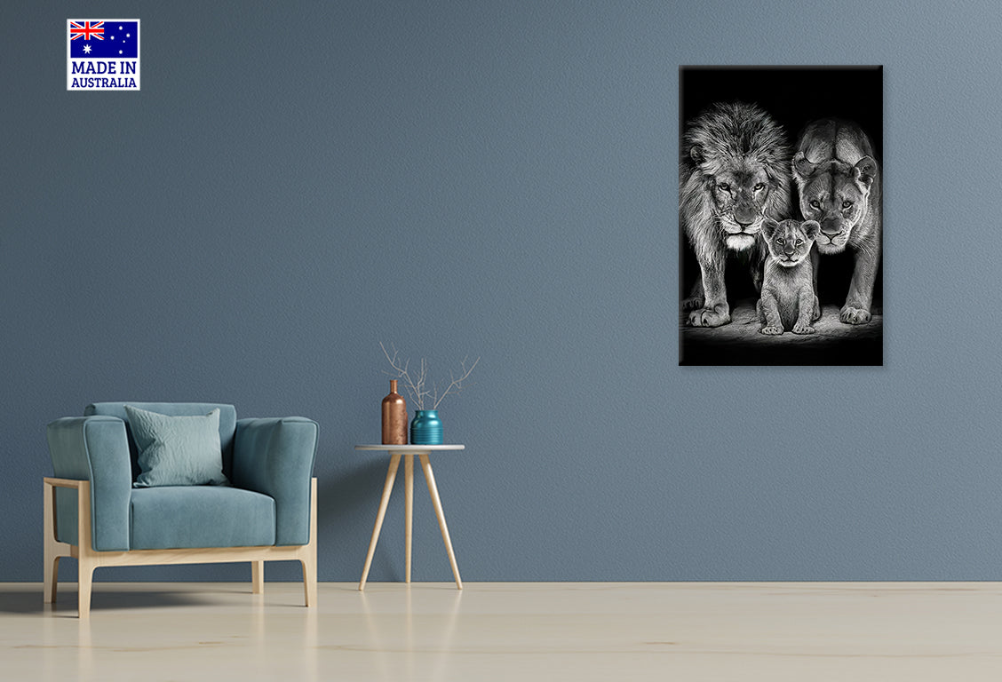 Majestic Black and White Lion Family Print 100% Australian Made 40x60cm Stretched Canvas Ready to Hang