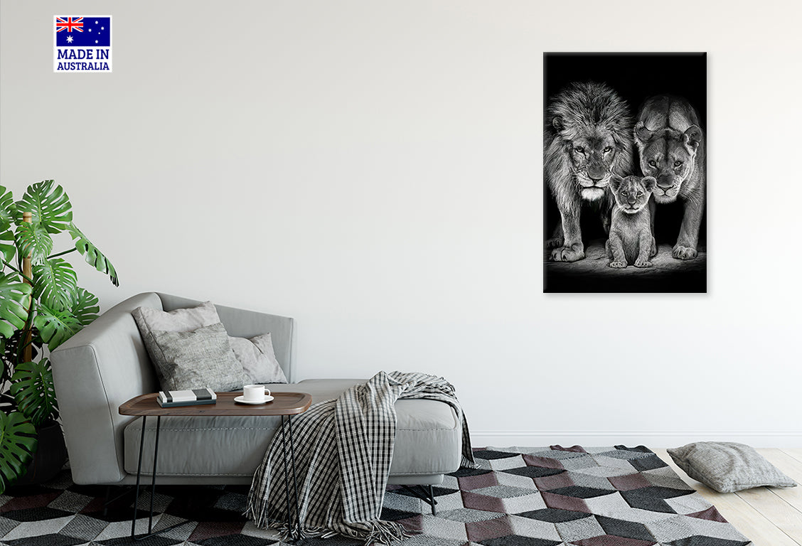 Majestic Black and White Lion Family Print 100% Australian Made 40x60cm Stretched Canvas Ready to Hang