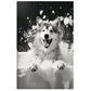 Playful Husky Dog Black & White Print 100% Australian Made 40x60cm Stretched Canvas Ready to Hang