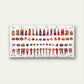 Teeth with Color-Coded Dental Wall Art Canvas Office Home Room Framed 120x60cm