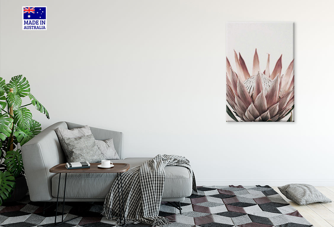 Calm Pink Flower with Leaves Close Up Print 100% Australian Made 40x60cm Stretched Canvas Ready to Hang