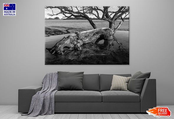 Fallen Tree Due to Storm Damage, Beverley Print 100% Australian Made Stretched Canvas Ready to Hang - BW-119