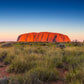 Beautiful view of Uluru, Ayers rock Sunset Print 100% Australian Made Stretched Canvas Ready to Hang - AU-119