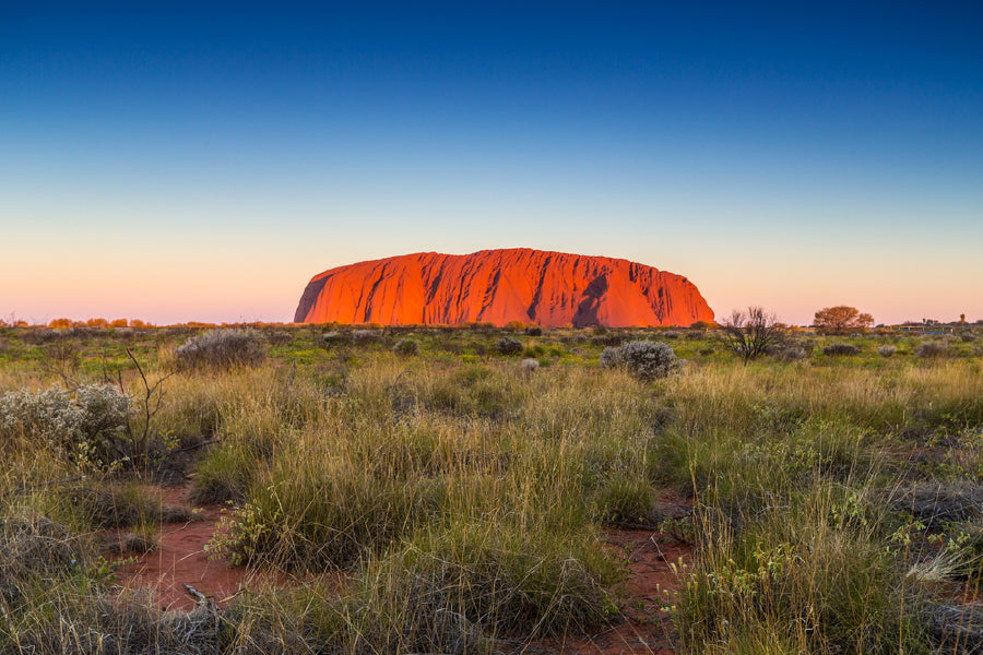 Beautiful view of Uluru, Ayers rock Sunset Print 100% Australian Made Stretched Canvas Ready to Hang - AU-119