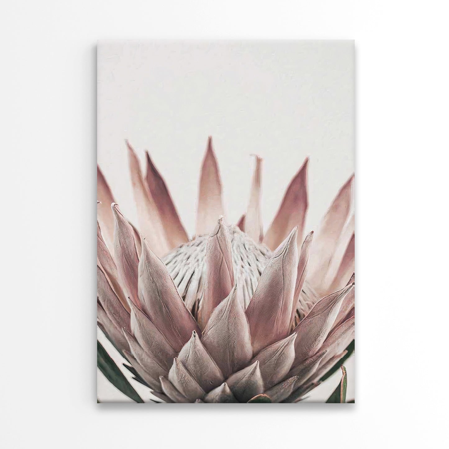 Calm Pink Flower with Leaves Close Up Print 100% Australian Made 40x60cm Stretched Canvas Ready to Hang