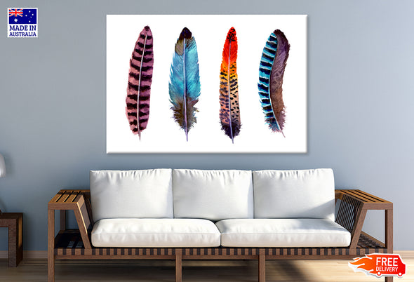 Multicolor Feathers Vector Art Print 100% Australian Made Stretched Canvas Ready to Hang - BO-119