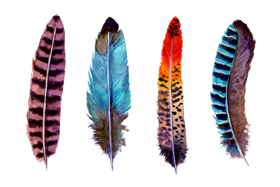 Multicolor Feathers Vector Art Print 100% Australian Made Stretched Canvas Ready to Hang - BO-119