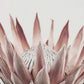 Calm Pink Flower with Leaves Close Up Print 100% Australian Made 40x60cm Stretched Canvas Ready to Hang