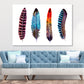 Multicolor Feathers Vector Art Print 100% Australian Made Stretched Canvas Ready to Hang - BO-119