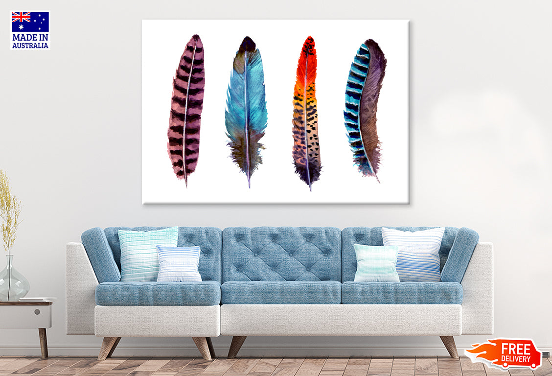 Multicolor Feathers Vector Art Print 100% Australian Made Stretched Canvas Ready to Hang - BO-119