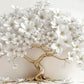 Elegant White Tree in Full Bloom Print 100% Australian Made 60x40cm Stretched Canvas Ready to Hang