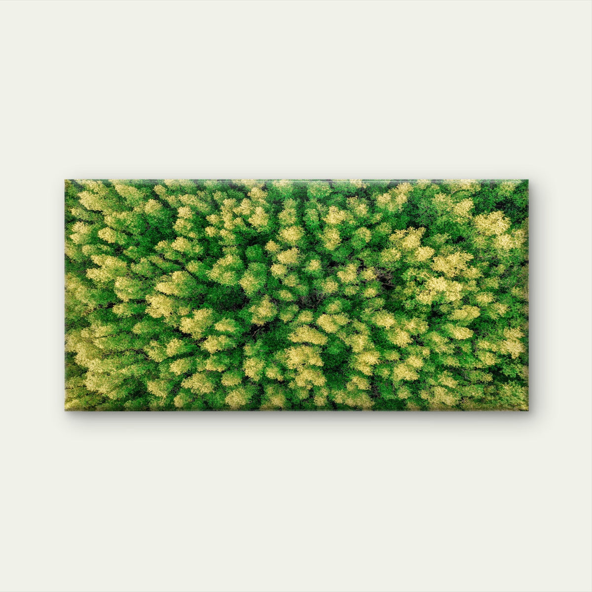 Aerial View of Green Trees Rain Forest Wall Art Canvas Office Home Room Framed 120x60cm